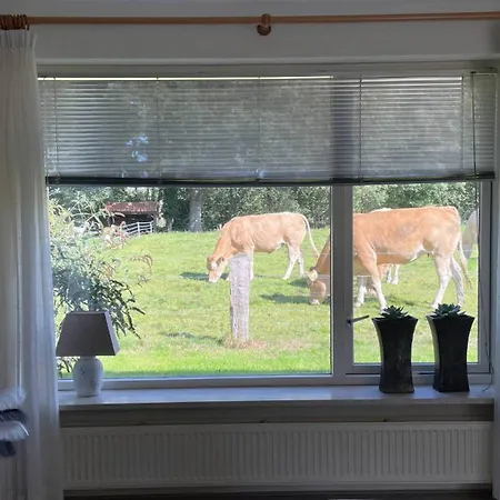 Oons Hoes Holiday home