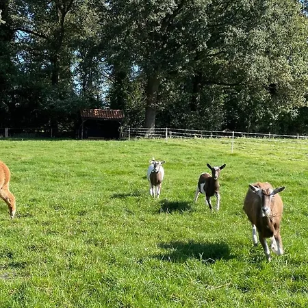 Oons Hoes Дом отдыха *