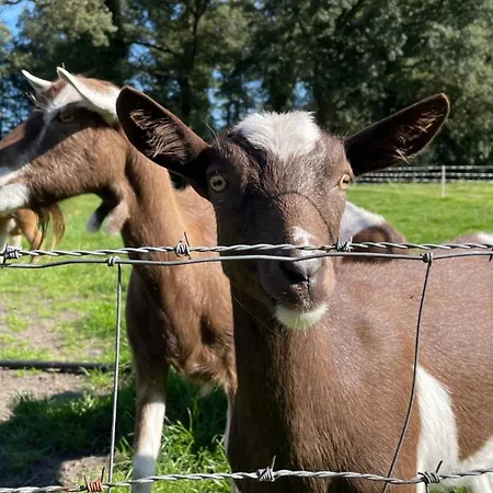 Oons Hoes Дом отдыха