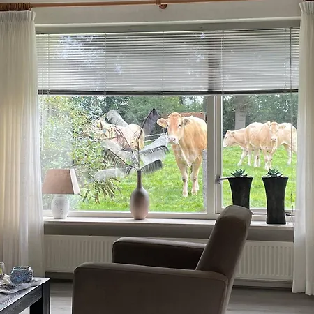 Дом отдыха Oons Hoes