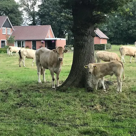 Дом отдыха Oons Hoes Rossum (Overijssel)