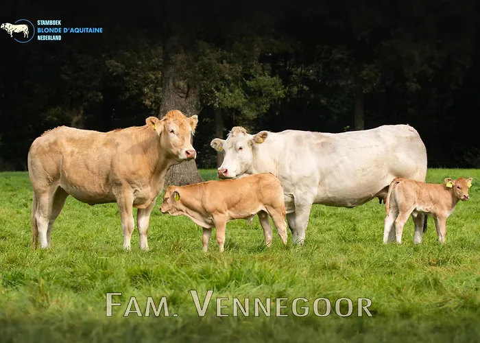 بيت للعطل Oons Hoes *