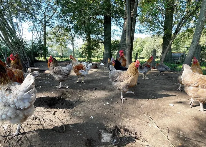 بيت للعطل Oons Hoes Rossum (Overijssel)