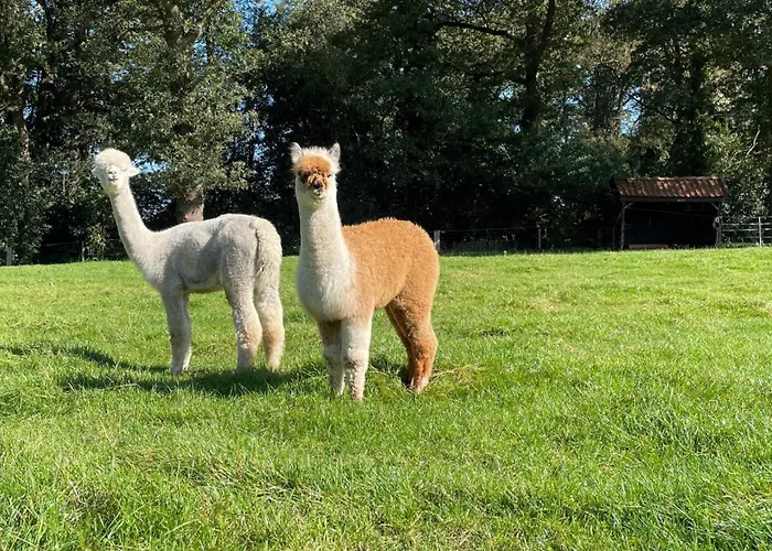 Oons Hoes بيت للعطل Rossum (Overijssel)