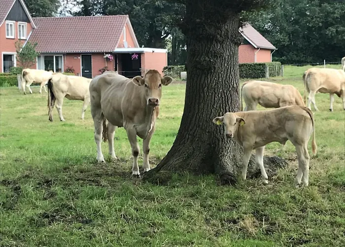 بيت للعطل Oons Hoes Rossum (Overijssel)