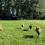 Oons Hoes Dom wakacyjny *