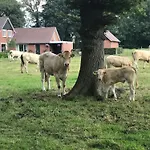 Dom wakacyjny Oons Hoes Rossum (Overijssel)