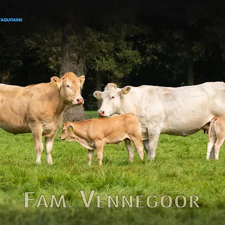 Дом отдыха Oons Hoes *