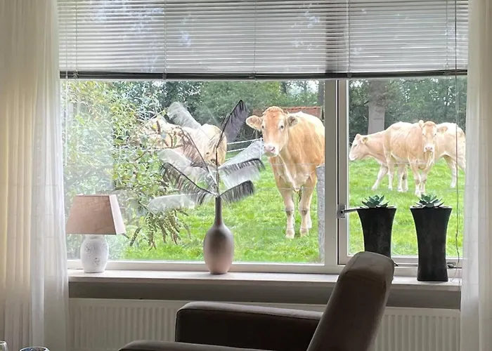 Дом отдыха Oons Hoes